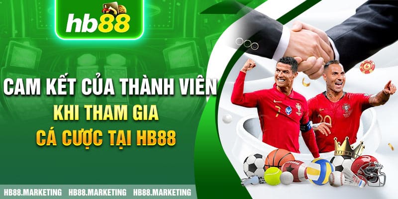 Cam kết của thành viên khi tham gia cá cược tại HB88