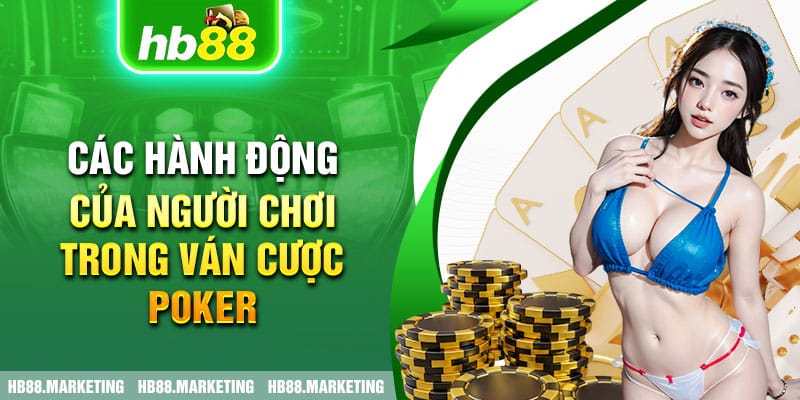 Các hành động của người chơi trong ván cược Poker