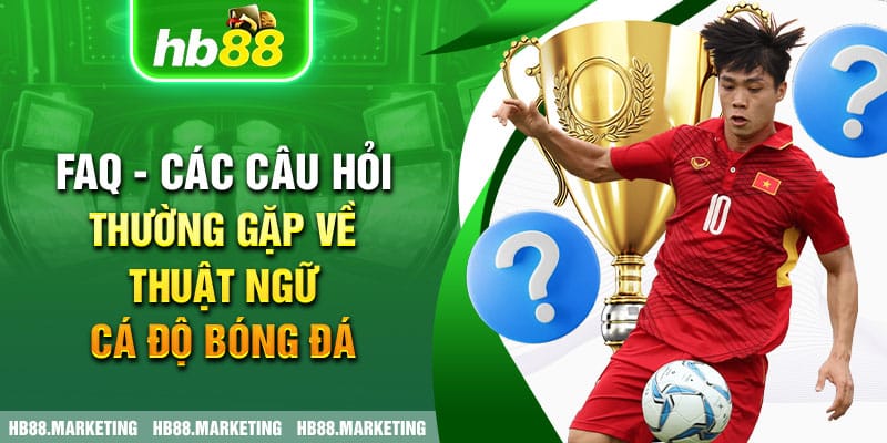 FAQ - Các câu hỏi thường gặp về thuật ngữ cá độ bóng đá