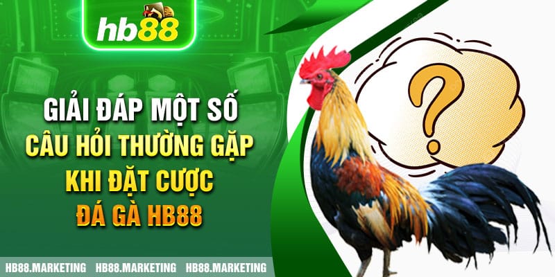 Giải đáp một số câu hỏi thường gặp khi đặt cược đá gà HB88