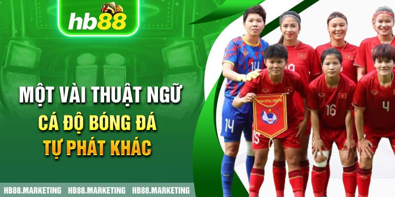 Một vài thuật ngữ cá độ bóng đá tự phát khác