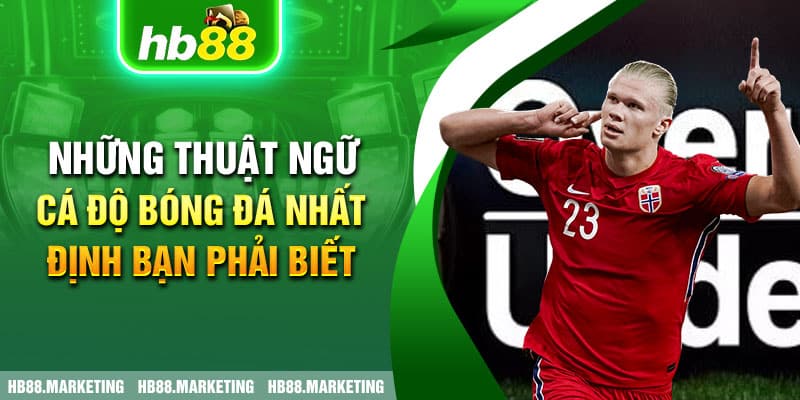 Những Thuật Ngữ Cá Độ Bóng Đá Nhất Định Bạn Phải Biết