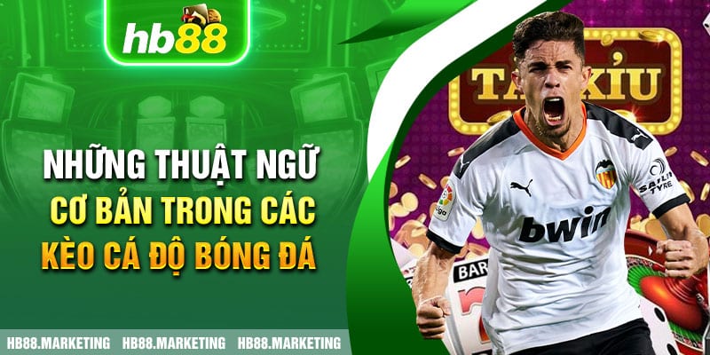 Những thuật ngữ cơ bản trong các kèo cá độ bóng đá