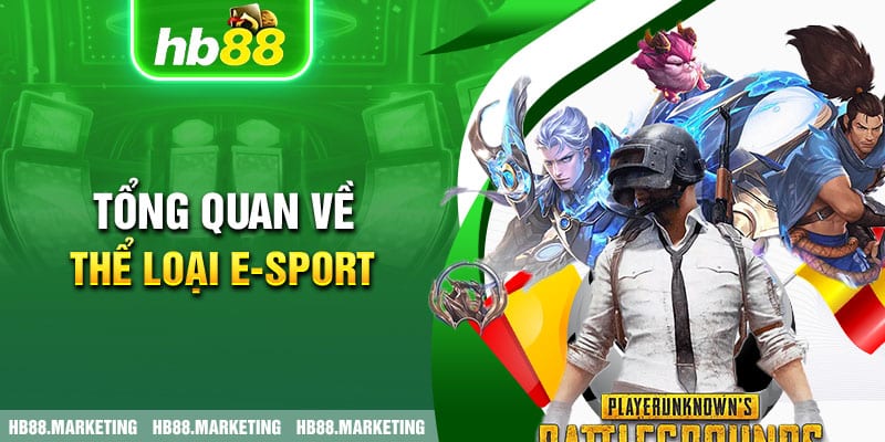 Tổng quan về thể loại E-SPORT